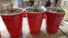 20160227_002501.jpg