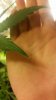 20160227_161125.jpg