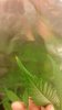20160227_161139.jpg