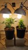 20160226_091917.jpg 20160226_091917.jpg