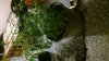 20160227_101409_Night.jpg