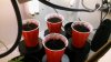 20160227_101804.jpg