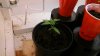 20160227_101812.jpg