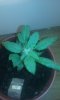 20160227_212356.jpg