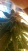 WP_20160228_005.jpg