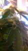 WP_20160228_006.jpg