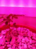 20160229_122935.jpg
