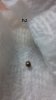 20160229_194921.jpg