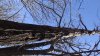 DSC00303.JPG