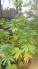 20160229_173651.jpg