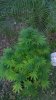20160229_175059.jpg