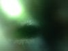 image.jpeg image.jpeg