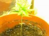 07-02-09_131509.jpg