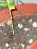 100_0019.jpg