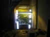 IMG_0163.jpg