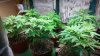 20160227_105712.jpg