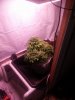 20160302_075827.jpg