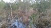 20160302_174314.jpg