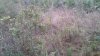 20160302_174055.jpg