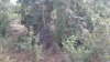 20160302_174045.jpg