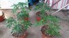 20160302_094120.jpg