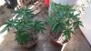 20160302_094136.jpg