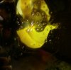 20160303_012615.jpg