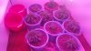 20160303_070703.jpg