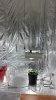 20151224_211407.jpg