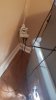 20160304_000706.jpg