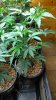 rps20160304_012758.jpg