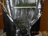 DSCN2157.JPG
