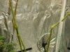 DSCN2167.JPG