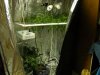 DSCN2169.JPG