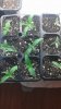 20160305_080431.jpg