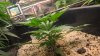 WP_20160306_02_29_32_Pro.jpg