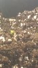 WP_20160113_001.jpg