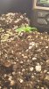WP_20160117_04_07_51_Pro.jpg