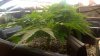 WP_20160213_014.jpg