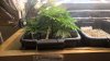 WP_20160218_15_10_39_Pro.jpg