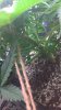 WP_20160218_15_11_15_Pro.jpg