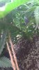 WP_20160218_15_11_17_Pro.jpg