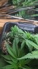 WP_20160218_15_12_17_Pro.jpg