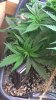 WP_20160218_15_12_23_Pro.jpg