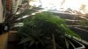 WP_20160219_03_09_03_Pro.jpg