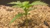 WP_20160213_017.jpg