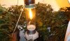 IMG_4950.JPG IMG_4950.JPG