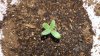 20160306_151518.jpg