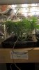 WP_20160307_06_14_07_Pro.jpg
