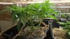 WP_20160307_06_14_22_Pro.jpg